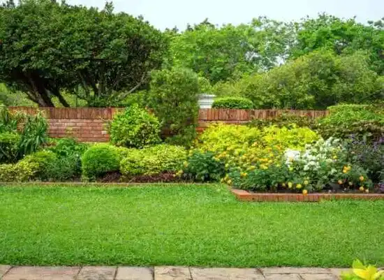 landscaping services Potomac Park